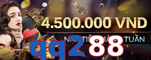 qq288