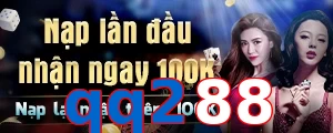 qq288